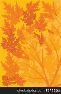 Orange background of autumn maple leaves