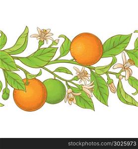 orange branch vector pattern. orange branch vector pattern on white background