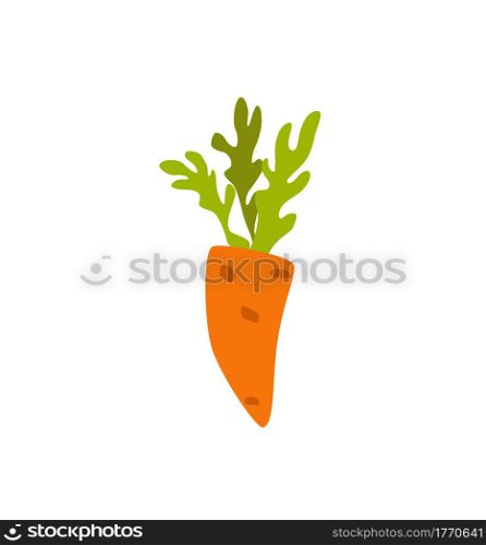 Orange carrot colorful cartoon vector illustration. Organic healthy food flat style icon isolated. Vegetable concept for farm market, vegetarian, vegan recipe design. Eat local organic products cartoon vector concept. Colorful illustration of happy farmer
