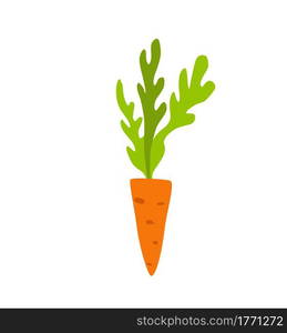 Orange carrot colorful cartoon vector illustration. Organic healthy food flat style icon isolated. Vegetable concept for farm market, vegetarian, vegan recipe design. Orange carrot colorful cartoon vector illustration.