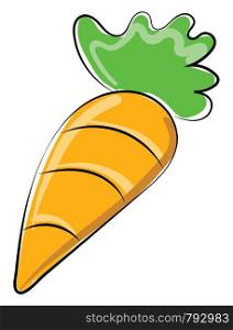 Orange carrot, illustration, vector on white background.