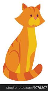 Orange cat, illustration, vector on white background.