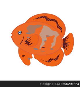 Orange Fish Isolated on White Background. Vector Illustration.. Orange Fish Isolated on White Background. Vector Illustration. E