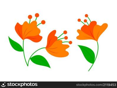 Orange flowers and leaves. Spring botanical vector illustration.