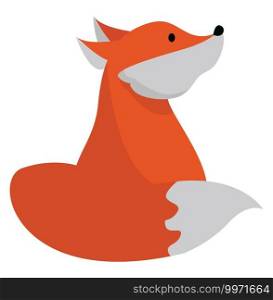 Orange fox, illustration, vector on white background