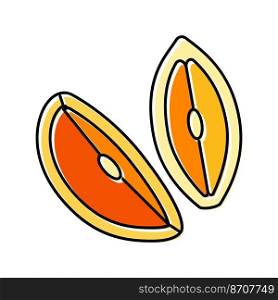 orange fresh cut slice color icon vector. orange fresh cut slice sign. isolated symbol illustration. orange fresh cut slice color icon vector illustration