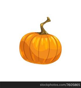 Orange fresh pumpkin with stem isolated autumn vegetable. Vector ripe gourd, fall harvest. Ripe pumpkin with stem isolated autumn vegetable