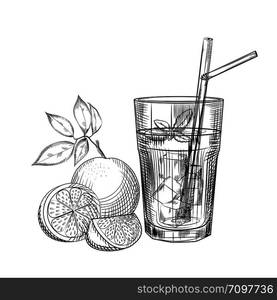 Orange fruit cocktail sketch. Orange slice. Citrus fruit juice image. Engraving style. Hand drawn vector illustration isolated on white background.. Orange fruit cocktail sketch. Orange slice. Citrus fruit juice image.