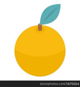 Orange fruit icon. Isometric of orange fruit vector icon for web design isolated on white background. Orange fruit icon, isometric style