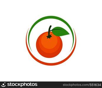 orange fruit icon vector logo illustration template