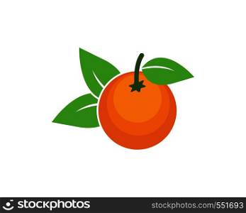 orange fruit icon vector logo illustration template
