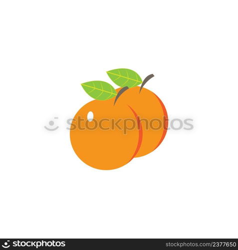 Orange fruit logo Vector illustration template