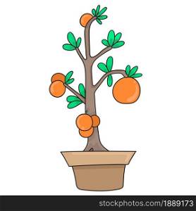orange fruit plant in the pot. cartoon illustration sticker emoticon