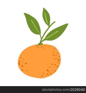 Orange fruit. Tangerine isolated in doodle style. Sweet food. Cute vector illustration.. Orange fruit. Tangerine isolated in doodle style