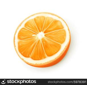 Orange fruit, vector