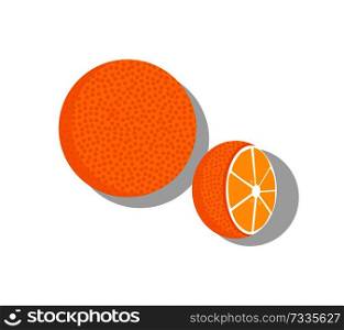 Orange fruit whole and half vector illustration of orange healthy ripe organic fruits isolated on white background. Healthy dieting tropical oranges. Orange Fruit Whole and Half Vector Illustration