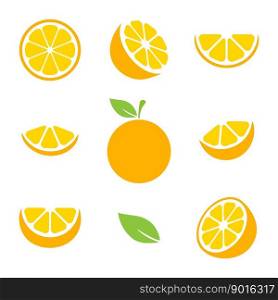 Orange fruits slices set. Tangerine collection. Vector illustration isolated on white.. Orange fruits slices set.