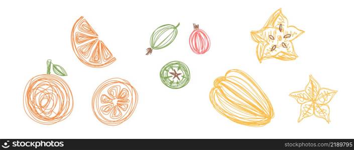 Orange, gooseberry and carambola. Fruit bundle. Hand drawn vector illustration. Pen or marker doodle sketch.. Orange, gooseberry and carambola. Fruit bundle. Hand drawn vector illustration. Pen or marker doodle sketch
