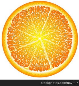 Orange in a cut close up, citrus. Orange in a cut close up