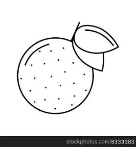 Orange line icon. Contour image of citrus fruit isolated vector illustratio. Food element for web design. Orange line icon