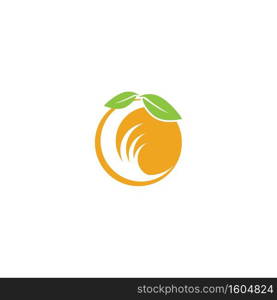 Orange logo design Vector icon illustration design