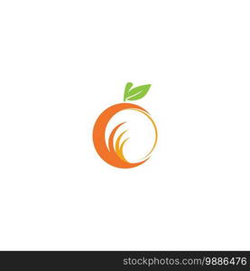 Orange logo design Vector icon illustration design