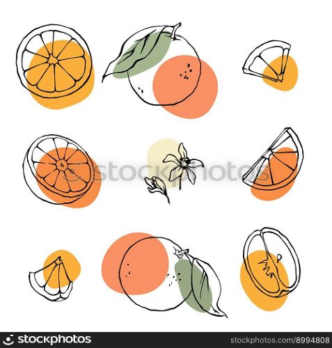 Orange outline vector illustration set. Hand drawn oranges, slices and leaves drawing with abstract color spots