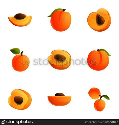 Orange peach icon set. Cartoon set of 9 orange peach vector icons for web design isolated on white background. Orange peach icon set, cartoon style