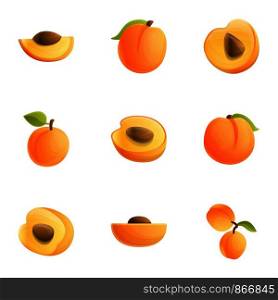 Orange peach icon set. Cartoon set of 9 orange peach vector icons for web design isolated on white background. Orange peach icon set, cartoon style