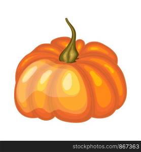 Orange Pumpkin. Cartoon Glossy Design. Vector Illustration.