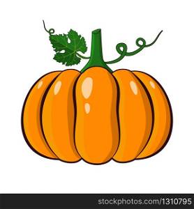Orange pumpkin vector illustration. Autumn halloween pumpkin, vegetable graphic icon in flat style, isolated on white background.. Orange pumpkin vector illustration. Autumn halloween pumpkin