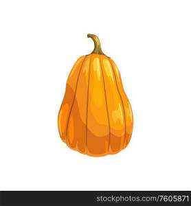 Orange pumpkin with stem isolated fresh vegetable. Vector natural food, organic squash or gourd. Pumpkin with stem isolated gourd vegetarian food