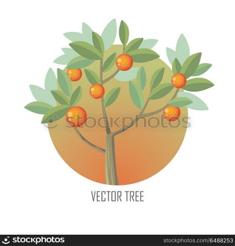 Orange Tree with Green Leaves and Oranges. Orange tree with green leaves and ripe oranges. Vector tree round icon. Tree forest, leaf tree isolated, tree branch nature green, plant eco branch tree, organic natural wood illustration.