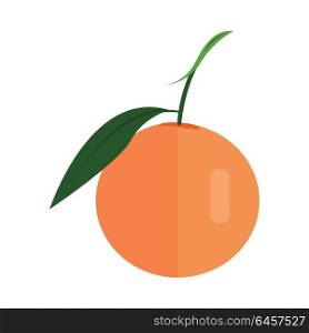Orange vector in flat style design. Fruit illustration for conceptual banners, icons, mobile app pictogram, infographic, and logotype element. Isolated on white background. . Citrus Vector Illustration In Flat Style Design.