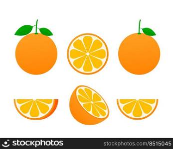 Orange whole and slices of oranges. Vector illustration of oranges. Fully editable handmade mesh. Orange whole and slices of oranges. Vector illustration of oranges. Fully editable handmade mesh.