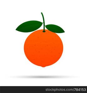 Orange with leaves whole and slices of oranges. Vector stock illustration of oranges.