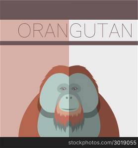 Orangutan flat postcard. Vector image of the Orangutan flat postcard