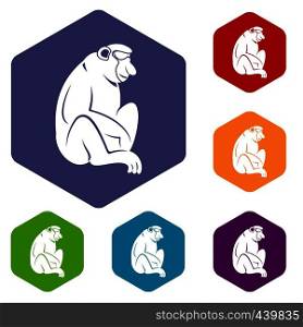 Orangutan icons set hexagon isolated vector illustration. Orangutan icons set hexagon