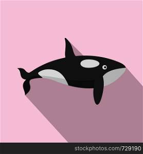 Orca whale icon. Flat illustration of orca whale vector icon for web design. Orca whale icon, flat style