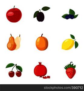 Orchard fruits icons set. Cartoon illustration of 9 orchard fruits vector icons for web. Orchard fruits icons set, cartoon style