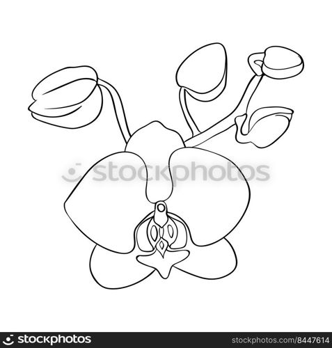 Orchid bud. Orchid flower head, contour drawing. For cards, congratulations and invitations