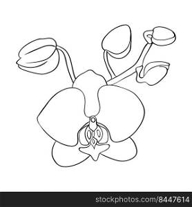 Orchid bud. Orchid flower head, contour drawing. For cards, congratulations and invitations