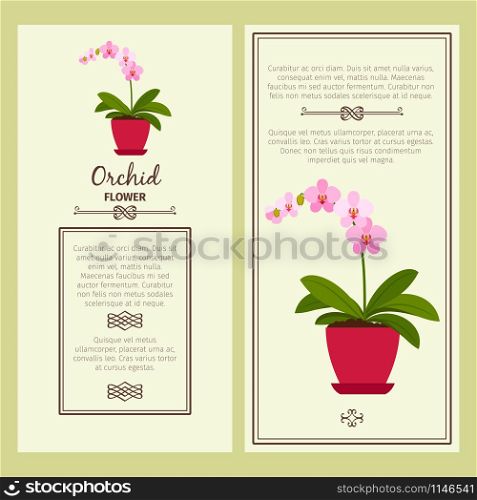 Orchid flower in pot vector advertising banners for shop design. Orchid flower in pot banners