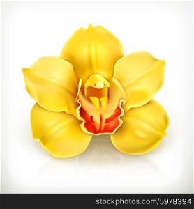 Orchid flower, vector icon