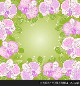 orchid frame