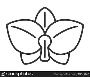Orchid icon vector in outline style. Tropic flower is shown. Wedding, eco, floral logo sign.. Orchid icon vector in outline style. Tropic flower is shown. Wedding, eco, floral logo
