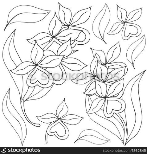 Orchids. Set of orchid inflorescences. Monochrome flowers, elements. Cute flowers in hand draw style. Floral illustration in hand draw style