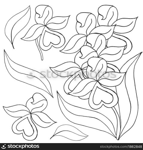 Orchids. Set of orchid. Monochrome flowers, individual elements. Cute flowers in hand draw style. Floral illustration in hand draw style