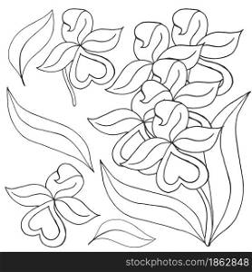 Orchids. Set of orchid. Monochrome flowers, individual elements. Cute flowers in hand draw style. Floral illustration in hand draw style