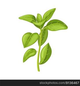 oregano green cartoon. herb food, spice leaf, plant ingredient, raw, fresh branch, herbal oregano green vector illustration. oregano green cartoon vector illustration